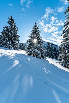 Zon, winter, sneeuw op de Hochgrat van Leo Schindzielorz