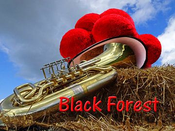 Die Tuba und der Bollenhut Black Forest 2.0 von Ingo Laue