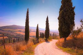 Tuscany by Celine