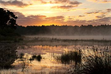 Landschaft 'Morgen verpasst von Greetje van Son