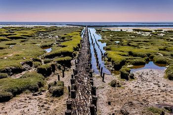 Buhnenküste (color)