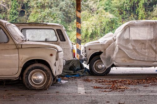 Irgendwo in Italien - die verlassenen FIATS von Gentleman of Decay