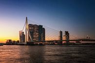 Panorama der Stadt Rotterdam und der Erasmusbrücke über die Nieuwe Maas bei Sonnenaufgang von Tjeerd Kruse Miniaturansicht