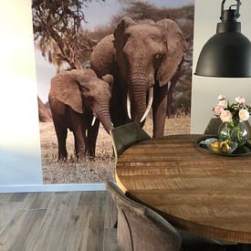 Photo de nos clients: Éléphants par Roos Vogelzang