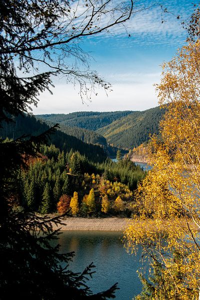 Herbst an der Ohratalsperre von Alexander Wolff