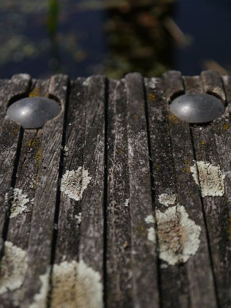 knock on wood van Marloes Vissers-Schurman