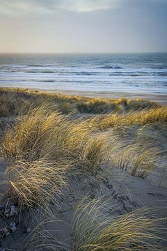 Strand en duin, zee en wind, golven langs de kust! van Dirk van Egmond