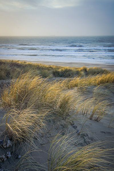 Strand und Dünen, Meer und Wind, Wellen an der Küste! von Dirk van Egmond