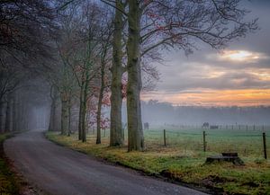 Tussen Doorn en Leersum