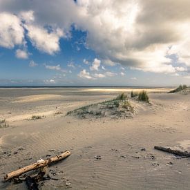 Ameland North Sea beach von Ron van Ewijk