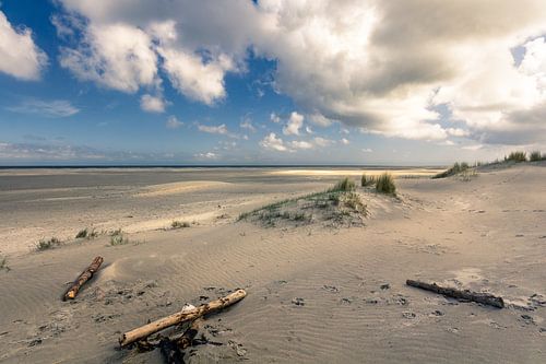 Ameland noordzeestrand