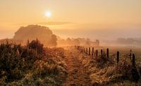 Mistige zonsopkomst bij Epen in Zuid-Limburg von John Kreukniet Miniaturansicht