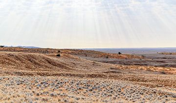 Landschap in Namibië van Achim Prill
