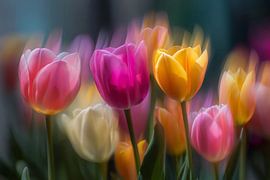 Une profusion de tulipes sur ARTemberaubend