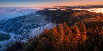 FRONTIÈRE DE BROUILLARD GLACIAL