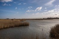 Landschapsfoto van het natuurreservaat Leyhörn