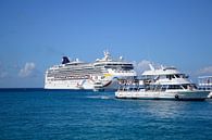 Mensen die van de cruiseschepen komen van Frank's Awesome Travels thumbnail