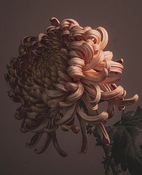 Stylish close up van een krullende bloem van Inkhere Art