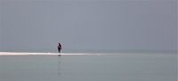 lone walker