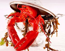 Rode kreeft met zeewier in een soepterrine van Christine Vesters Fotografie