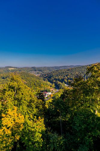 Kasteelruïne Scharfenburg in herfsttooi