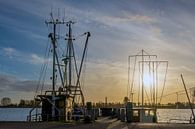 Lauwersmeer National Park by Johan Mooibroek thumbnail