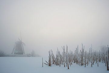 Le petit pays des merveilles de l'hiver sur Aline van Weert