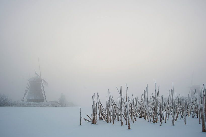 Kleines Winterwunderland von Aline van Weert