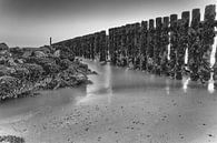 Zeeland strand van Jan van der Vlies thumbnail
