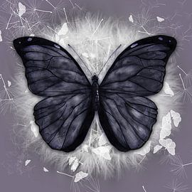 Black butterfly by Bianca Wisseloo