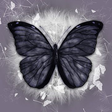 Zwarte vlinder