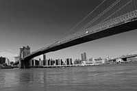 Brooklyn bridge zwart/wit