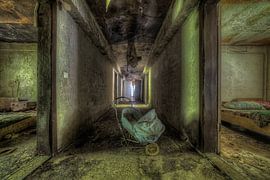 Biosphere sur Markus Leander