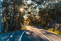 Early Morning Road
