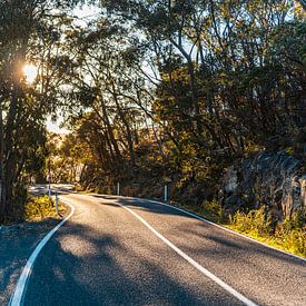 Early Morning Road by Ruben Swart