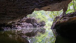 Un miroir naturel dans la forêt tropicale vietnamienne