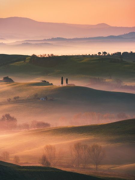 Golden sunrise in the hills of Tuscany. by Daniel Gastager