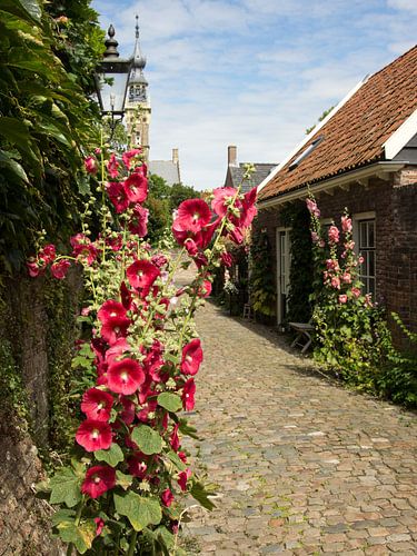 Picturesque street in Veere.