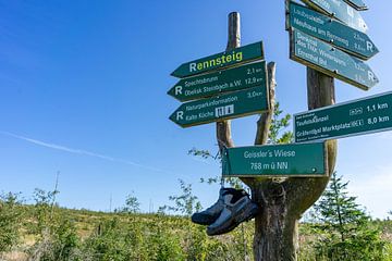 Panneau indicateur sur le sentier de randonnée dans la forêt de Thuringe, Allemagne sur Animaflora PicsStock