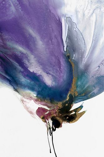 Violaceous ii, PI Studio 