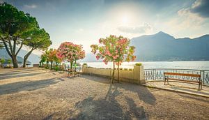 Bank und Bäume am Ufer des Comer Sees. Bellagio