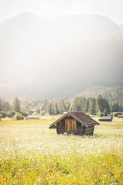 Alpenochtend van Steffen Koch