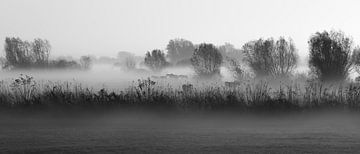 Mistig landschap Oud-Zevenaar