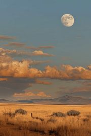 Vollmond von LidyStuit