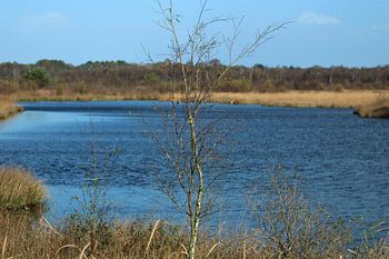 Veengebied in Twente
