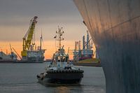 Sleepboot Peter Wessels bij scheepsboeg