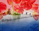 Dutch Mills Kinderdijk - Double Exposure van Melanie Rijkers thumbnail