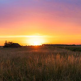 Een typische zonsondergang in de Goudse weilanden van Zeb van Drie