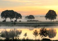 Beautiful early summer morning at the Maas