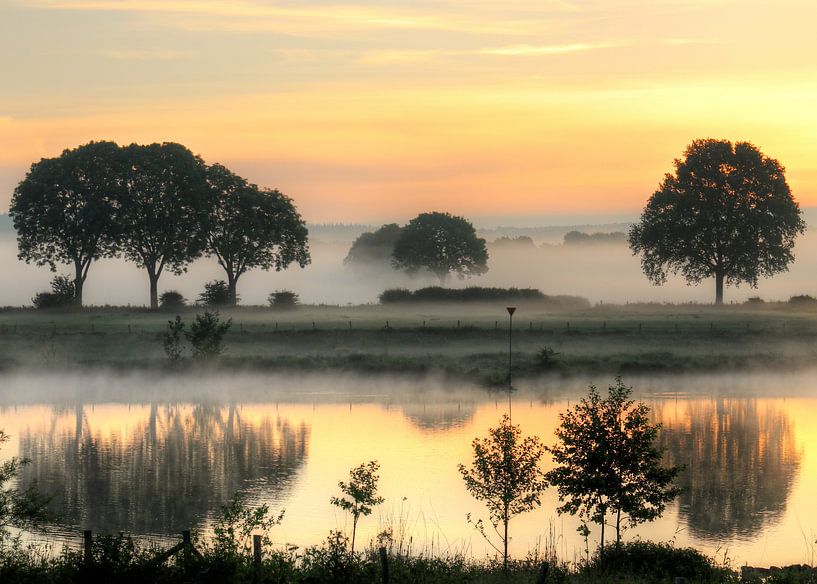 Schöner Frühsommermorgen an der Maas von R. Maas